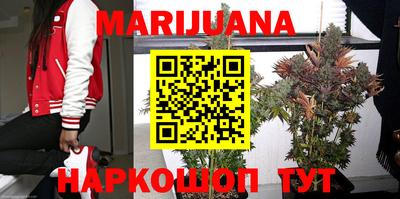 сатива Гусиноозёрск